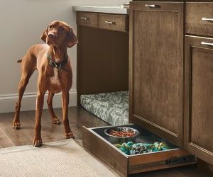 Custom Cabinets for Pet Owners: Functional and Stylish Ideas