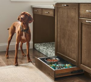 Custom Cabinets for Pet Owners: Functional and Stylish Ideas
